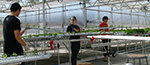 Humboldt Hydro Farms Greenhouse
